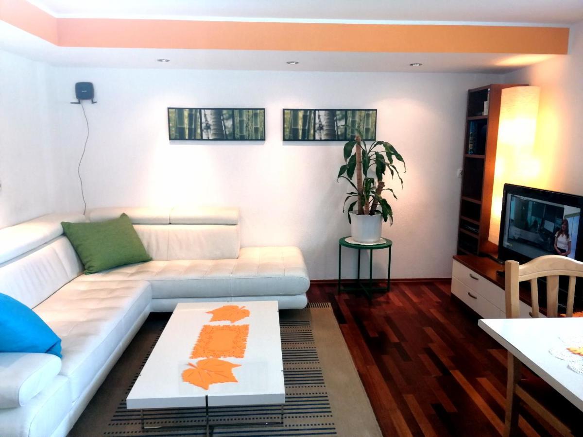 Mateja House - Apartments In Zirovnica Rodine Extérieur photo